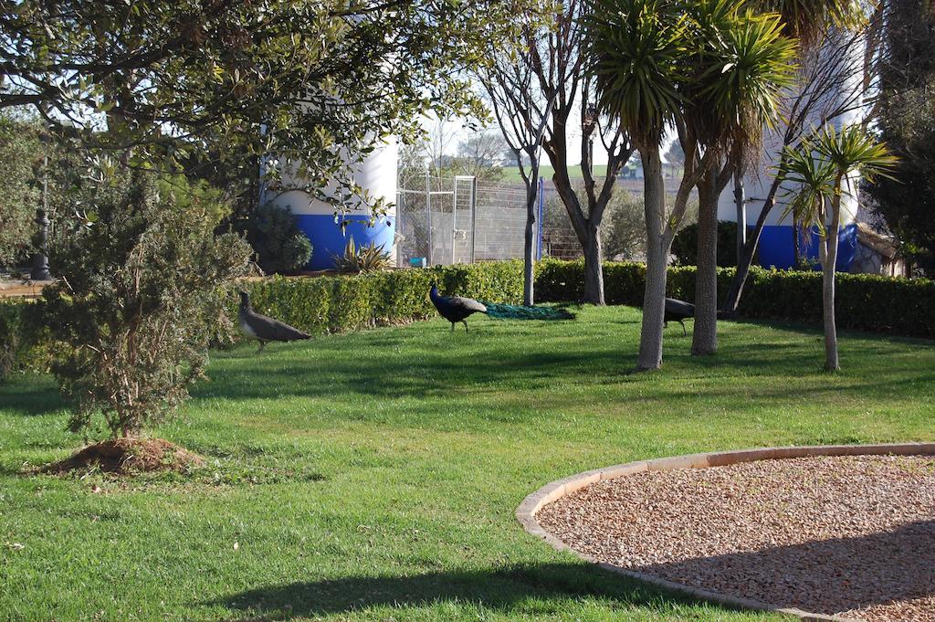 Hotel El Cortijo De Daimiel Buitenkant foto